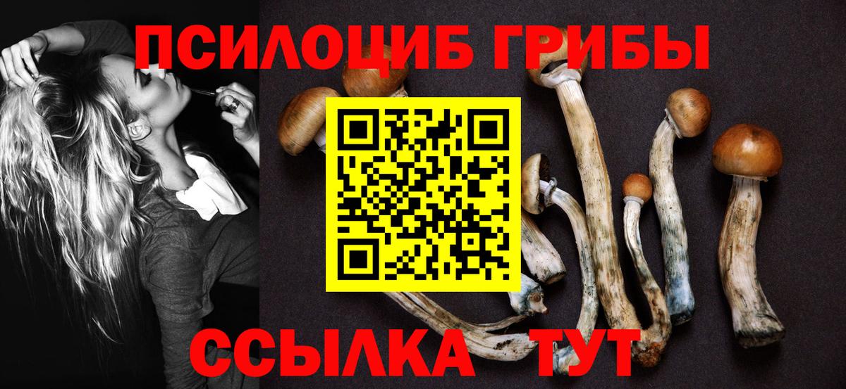 Псилоцибиновые грибы мицелий Нижний Тагил